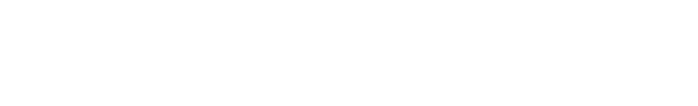 PilotPractice logo